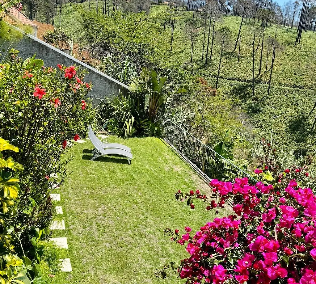 New! Nature Paradise With Ocean View & Hot Tubs Faja da Ovelha Villa